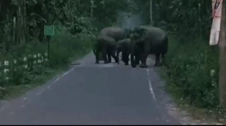 Screenshot_20250612_071259_Video Player