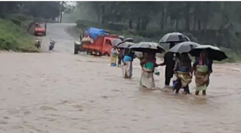 Screenshot_20251031_195804_Gallery