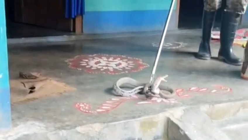 VideoCapture_20251104-091341