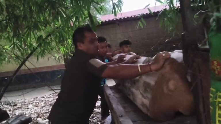 VideoCapture_20251123-131225