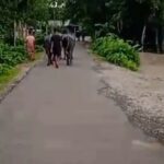 VideoCapture_20251123-211021