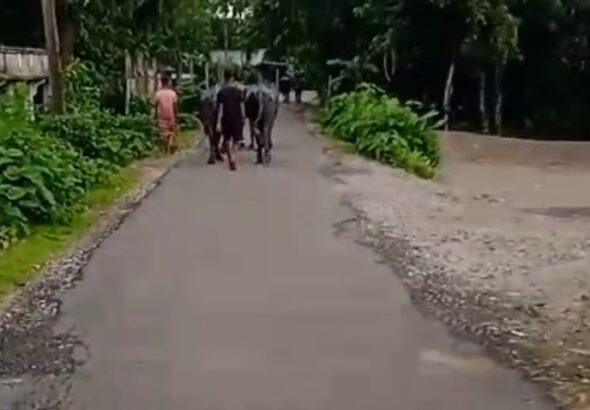 VideoCapture_20251123-211021