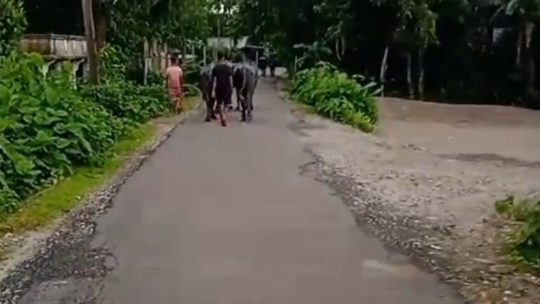 VideoCapture_20251123-211021